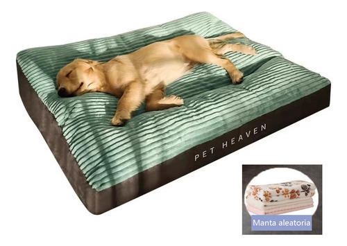 Cama Colchon Ortopedico Premium Extra Grande Perro 100 Libra