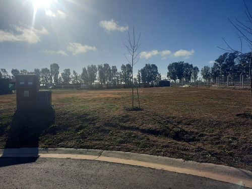 Imagen 7 de 22 de Venta De Lote Pilar Del Este Santa Lucia