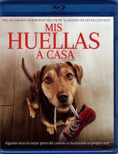 Mis Huellas A Casa Ashley Judd Pelicula Blu-ray Nuevosellado