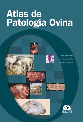 Ferrer: Atlas De Patología Ovina