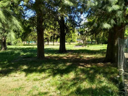 Imagen 2 de 6 de Lote En Venta En Moreno Sur