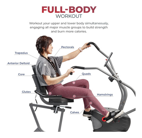 Bicicleta Reclinada Compacto Con Ejercitadores De Brazo