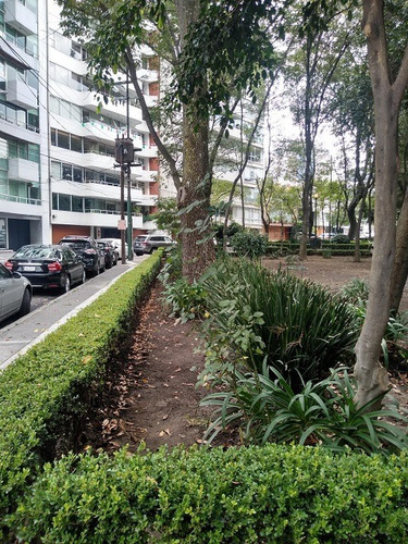 Imagen 14 de 14 de Pent House Con Bonita Vista. Edificio Enfrente Del Parque