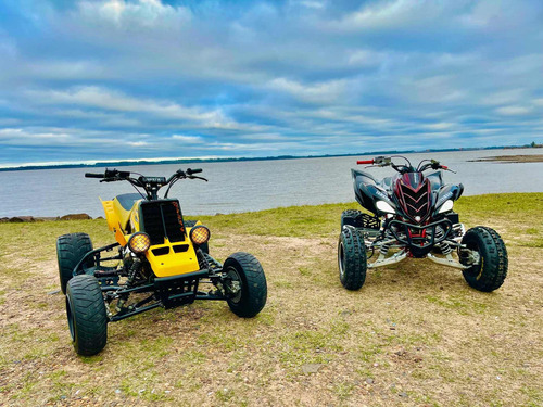 Imagen 6 de 6 de Yamaha Banshee 350cc Edición Especial