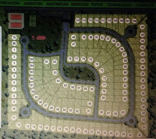 Lote | 163 7887