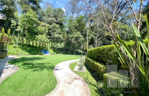Imagen 23 de 25 de Las Vistas Verdes Serán Parte De Tu Hogar Siempre