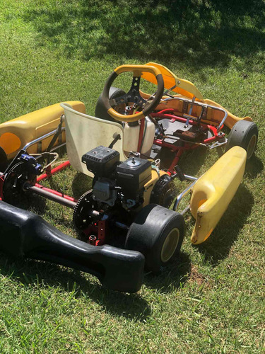 Karting Para Niño Marca M101 Con Motor 4t Niwa