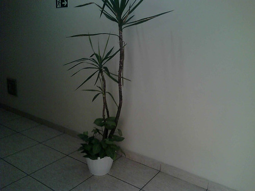 Imagem 7 de 13 de Sala Comercial Para Alugar Na Rua Amador Bueno, Centro, Santos - Sp - Liv-3933