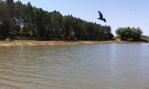 Imagem 7 de 17 de Rancho No Balneário Municipal De Quatá- Sp. - 1150