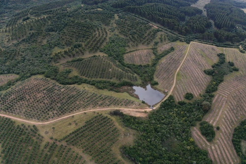 Imagen 12 de 30 de Campo Ovicola En Garzon - 212 Hectareas