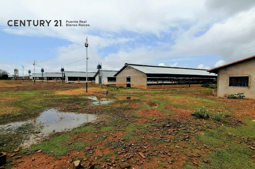 Imagen 11 de 17 de Se Vende Granja Avicola Para Inversionistas En Cantaura - Edo Anzoategui