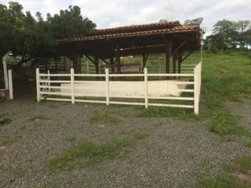 Imagem 4 de 9 de Fazenda Com 214 Tarefas A Venda Em Tanquinho - Afd007 - 70220002