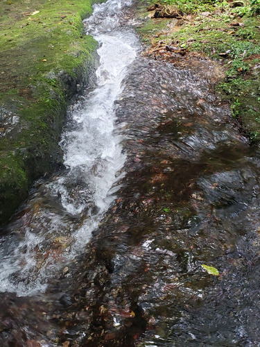 Rancho Entre Nubes Y Montañas En Cuetzalan Puebla