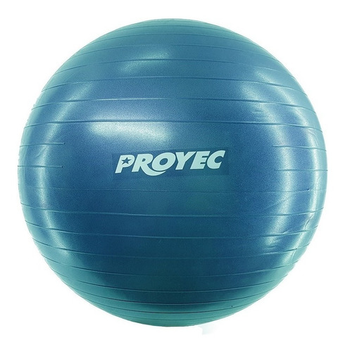 Pelota Esferodinamia Gym Ball Yoga Fitness 55 Cm Proyec