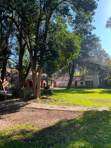 Imagen 5 de 13 de En Venta Importante Chacra 5.5 Hectareas Con Emprendimiento