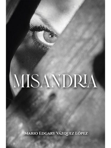 Misandria, De Vázquez, Mario Edgary. Editorial Hola Publishing Internacional En Español