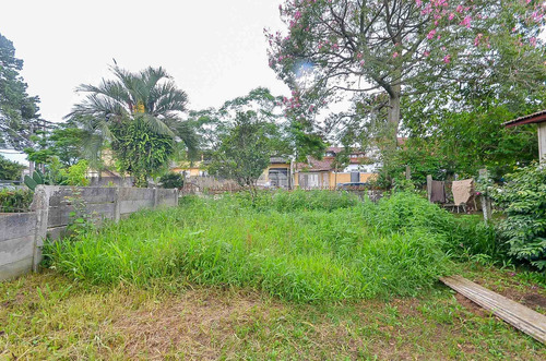 Imagem 30 de 30 de Terreno - Residencial - 923808