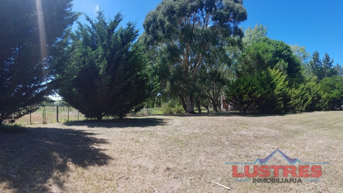 Imagen 12 de 13 de Chacra Terreno En Venta Lotes San Clemente Gral Lavalle