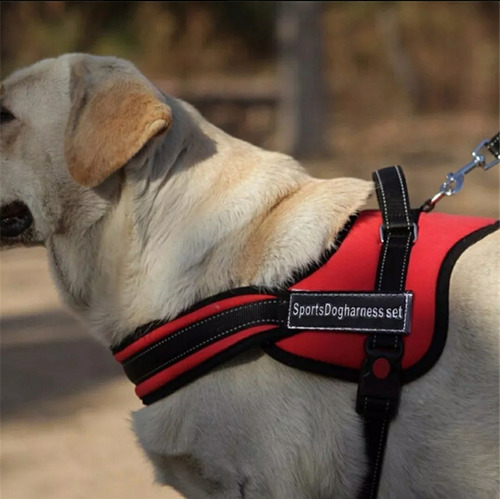 Peitoral Para Cães Coleira De Cachorro  