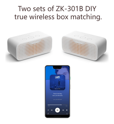 Amplificador Zk-301b 30w Mono 5.3 O Com Tws & App