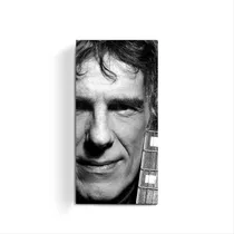 Comprar Cuadro Moderno Retrato Flaco Luis Alberto Spinetta Rock Deco