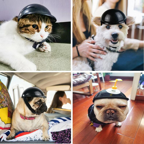 Lentes Con Protección Uv Para Casco Para Cachorros