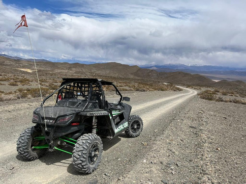 Imagen 4 de 22 de Articat Wildcat 1000