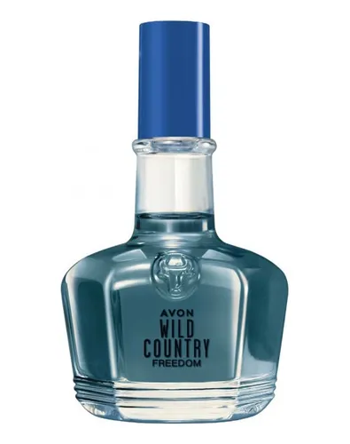 Perfume tommy freedom caballero sale