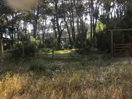 Imagen 4 de 5 de Terreno En Rincon Del Indio A Pocas Cuadra De La Playa Brava - Punta Del Este Rincón Del Indio