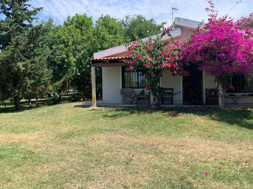 Vendo Muy Linda Chacra Con 3 Casas, 2 Galpones Y Un Parque Arbolado Único, Muy Buena Oportunidad!!!!!