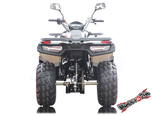 Quadriciclo Brutus 200cc Utilitário Painel Digital