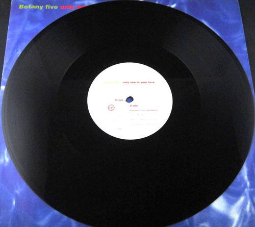Botany Five - Only One In Your Love Single Importado Uk Lp (Usado)