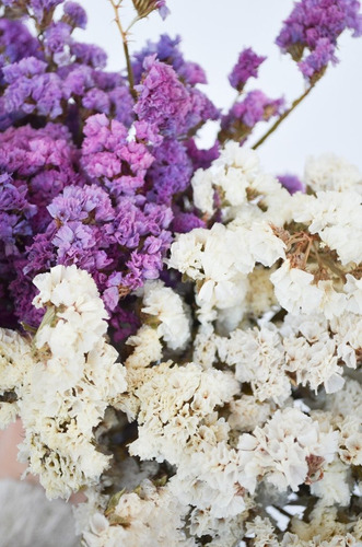 Ramo Flores Secas Estatis Blanco White