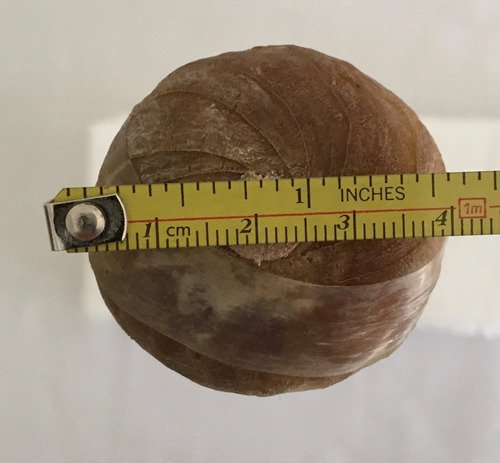 Baqueta Para Marimba 4ta, De Caucho Natural Nueva 1 Pza (Usado)