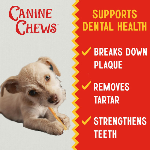 Canine Chews 5 Sticks Recubiertos De Pollo Paquete De 100 De