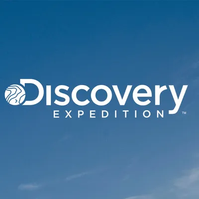 Discovery
