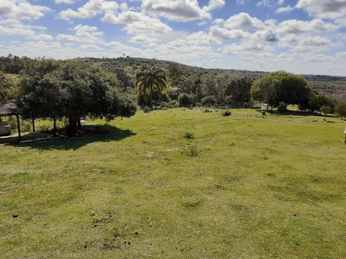 Campo Financiado