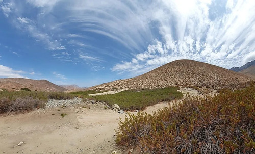 Terrenos Km 21 Ruta Antakari Valle Del Elqui