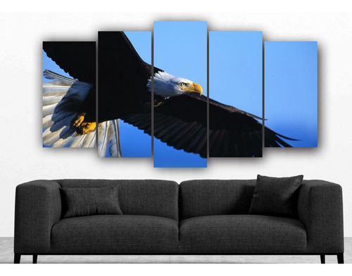 Set De 5 Cuadros Decorativo Moderno Águila - 13