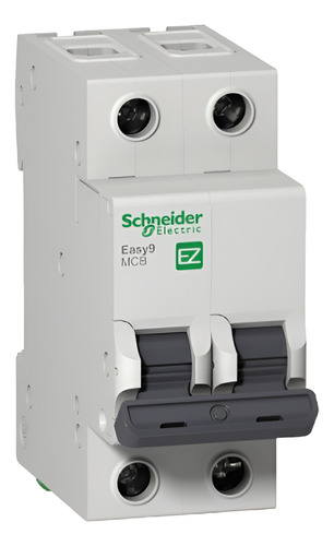 Disjuntor Bipolar Easy9 2p 70a Curva C Schneider