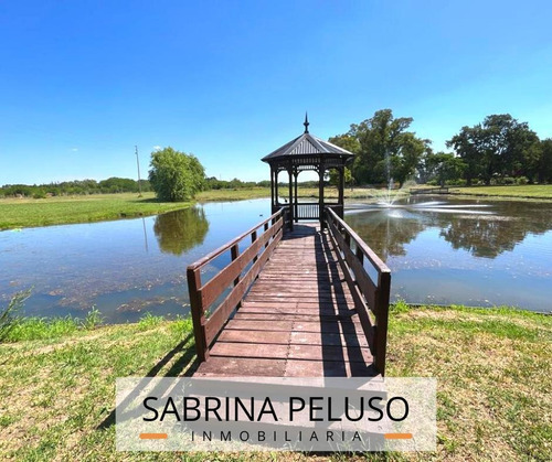 Imagen 3 de 12 de Lote En Club De Campo Haras San Pablo