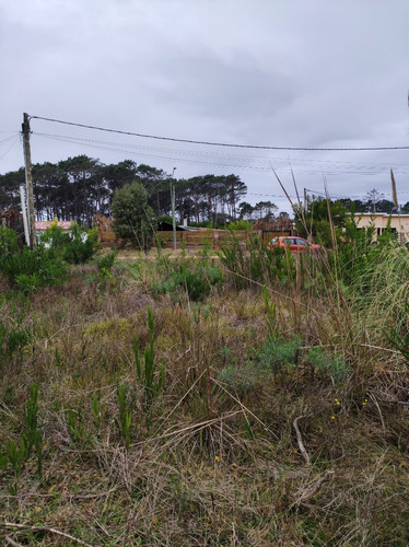 Dueño Vende. Terreno En La Paloma Y 14, 700m2  