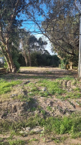 Imagen 3 de 10 de Lote En Venta En Balneario Buenos Aires (ref: Bpv-8158)