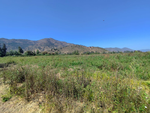 Arriendo Anual - 44 Ha Terreno Agrícola Cultivo Siembra