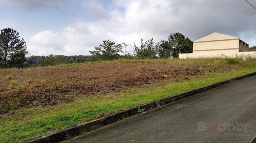 Terreno À Venda, 390 M² Por R$ 169.000,00 - Itoupava Central - Blumenau/sc - Te0277