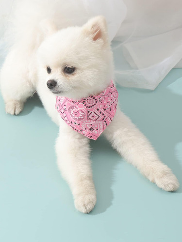 Bufanda Qwinee 4 bandana con cuello para perro