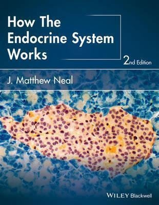 How The Endocrine System Works - J. Matthew Neal