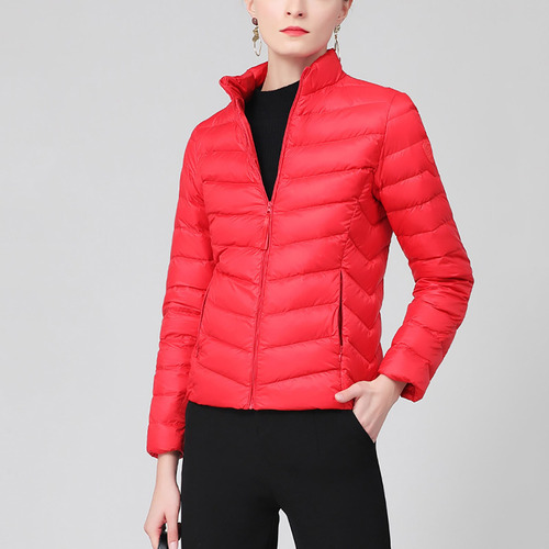 Chaqueta Moderna Para Mujer Con Cuello Alto Y Cremallera Par