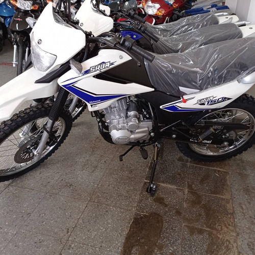 Imagen 14 de 23 de Motomel Enduro Skua 150 V6
