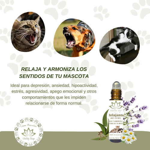 Roll On Relajante Anti Estrés Perro Gato Mascotas 10 Ml